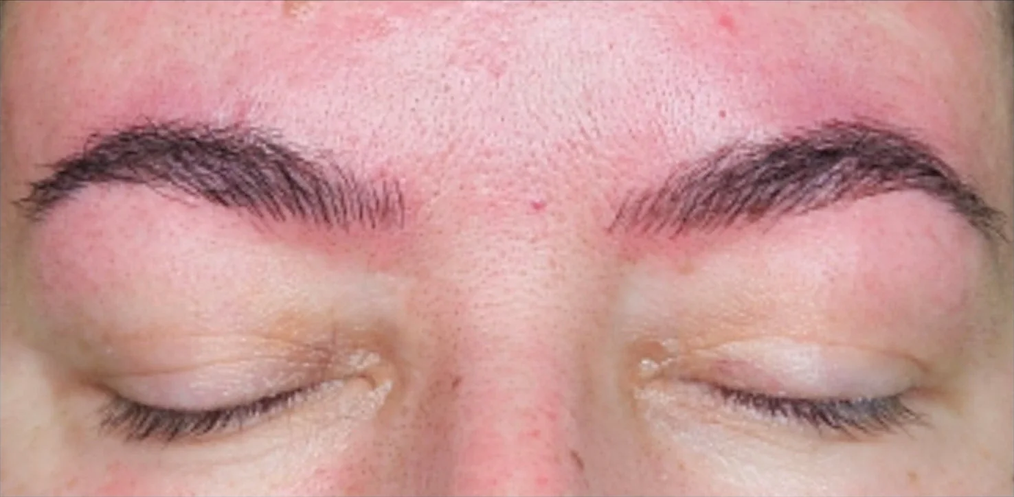 Permanent Make-up · Augenbrauen – Nachher